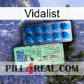 Vidalist new02